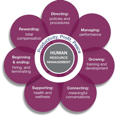 (PDF) Developing a Human Resource Information .